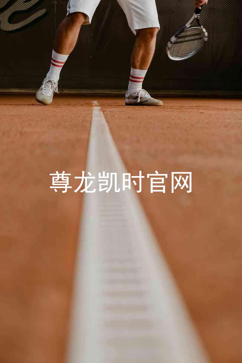 尊龙凯时官网