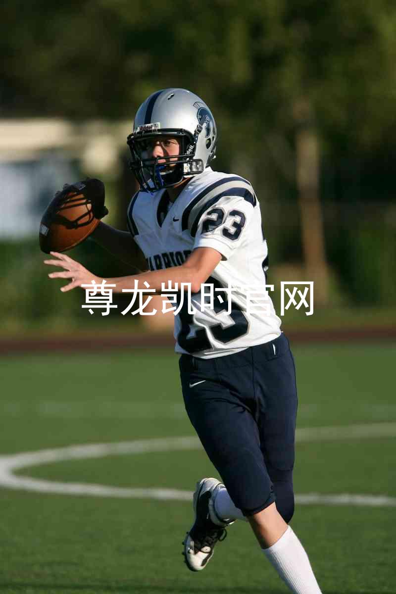 尊龙凯时官网