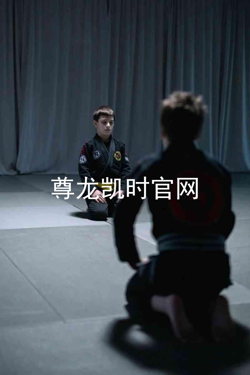 尊龙凯时官网